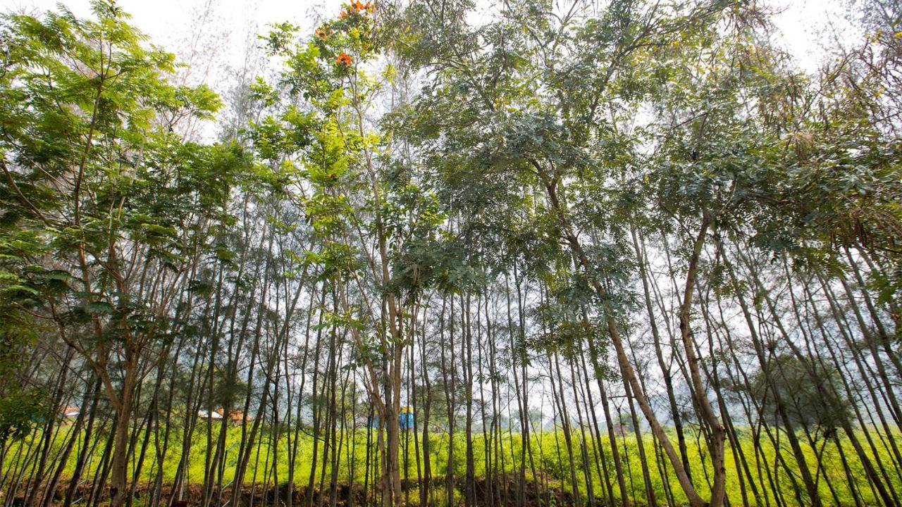 Aara Jungle Resort Coimbatore Esterno foto